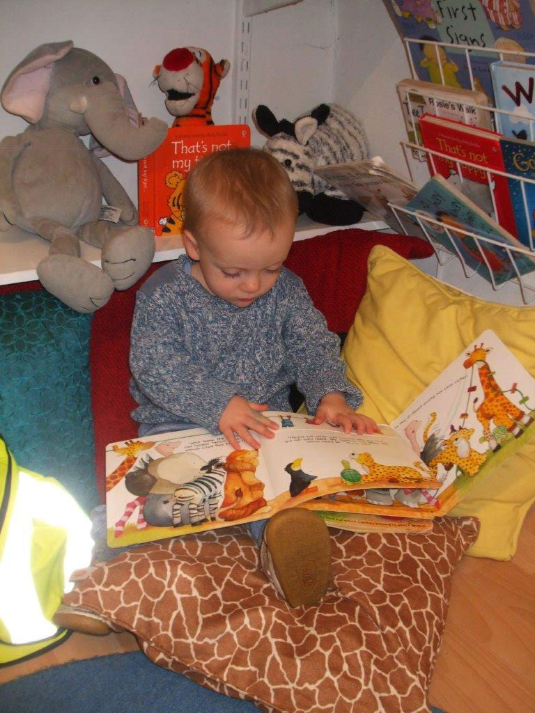 Gallery The Psalter Lane Nursery